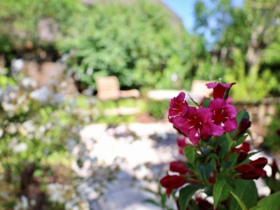 Holiday house reetgedecktes Ferienhaus in Nieblum auf Föhr - Features photo 16