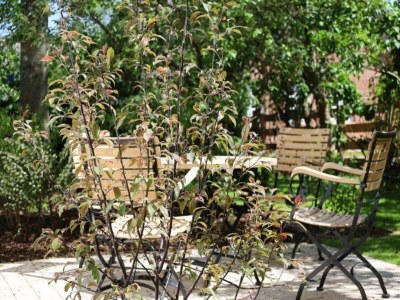 Holiday house reetgedecktes Ferienhaus in Nieblum auf Föhr - Features photo 19