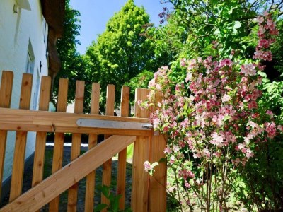 Holiday house reetgedecktes Ferienhaus in Nieblum auf Föhr - Features photo 29