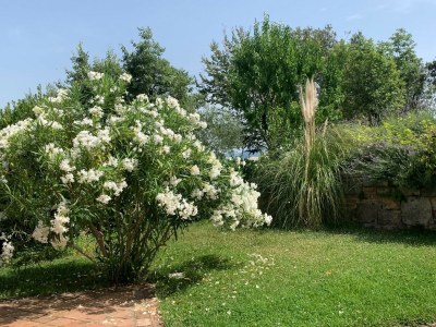 Villa Villa Malini with Pool, Sauna and Fenced Garden - Outdoor photo 17