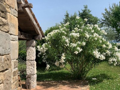 Villa Villa Malini with Pool, Sauna and Fenced Garden - Outdoor photo 19