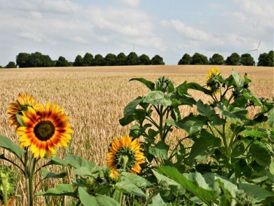Apartment Hübsches Appartement in Am Salzhaff mit Kamin - Outdoor photo 37
