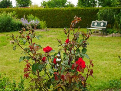 Apartment Hübsches Appartement in Am Salzhaff mit Kamin - Outdoor photo 40