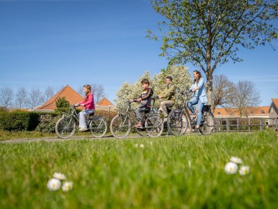 Holiday park Bungalow in Renesse nahe Nordseestrand - Outdoor photo 25