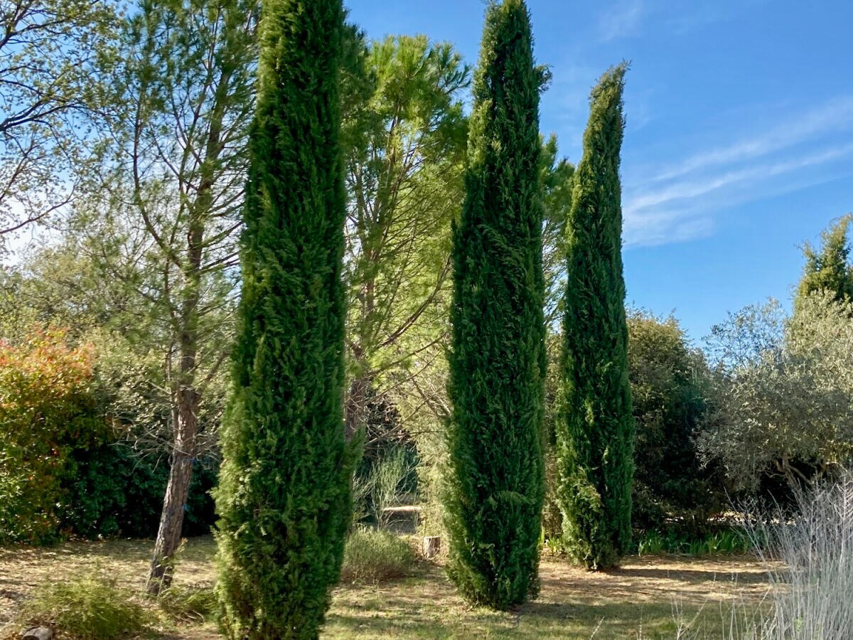 Holiday house Charming country house with pool â€“ 637 SAT - Outdoor photo 5