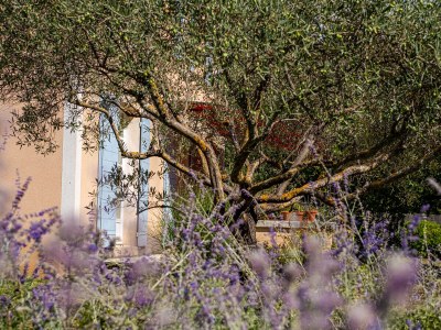 Holiday house Charming country house with pool â€“ 637 SAT - Outdoor photo 16