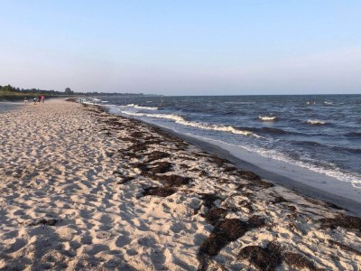 Holiday house 6 Personen Ferienhaus in Idestrup-By Traum - Outdoor photo 2