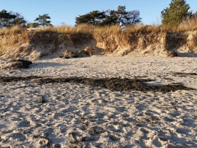 Holiday house 6 Personen Ferienhaus in Idestrup-By Traum - Outdoor photo 14