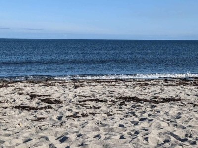 Holiday house 6 Personen Ferienhaus in Idestrup-By Traum - Outdoor photo 16