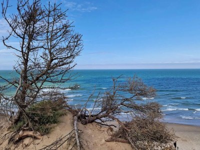 Holiday house 6 person holiday home in Thisted-By Traum - Outdoor photo 9