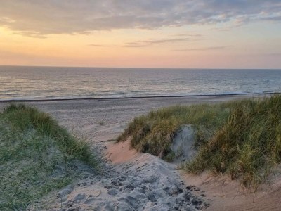 Holiday house 6 person holiday home in Thisted-By Traum - Outdoor photo 21