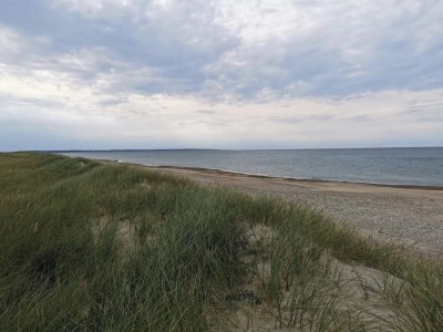 Holiday house 6 person holiday home in Thisted-By Traum - Outdoor photo 31