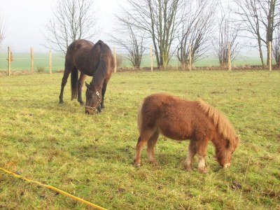 Apartment Wohnung in Blowatz an der Ostseeküste - Environment photo 15