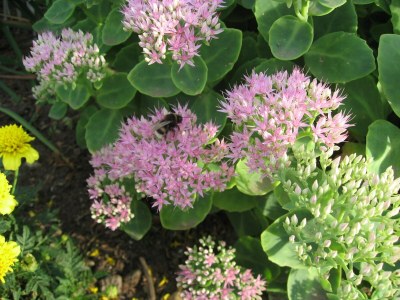 Apartment Wohnung in Blowatz an der Ostseeküste - Outdoor photo 20