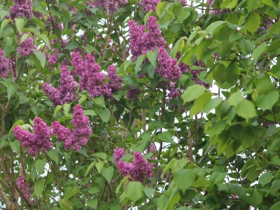 Apartment Wohnung in Blowatz an der Ostseeküste - Outdoor photo 22