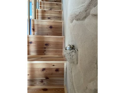 Apartment FeWo "Biberburg" - Features photo 25