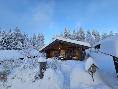 Chalet Blockhaus #10 - Outdoor photo 3