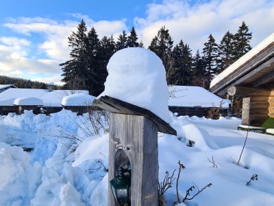 Chalet Blockhaus #10 - Outdoor photo 7