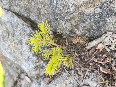 Chalet Blockhaus #10 - Outdoor photo 20