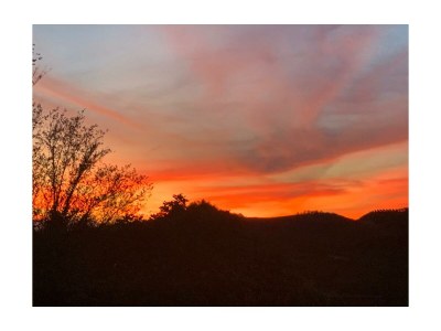 Holiday house La Terrazza del Roero - Environment photo 23