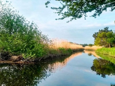 Holiday house 4 Sterne Ferienhaus in Gørlev-By Traum - Outdoor photo 9