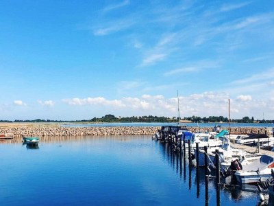 Holiday house 4 Sterne Ferienhaus in Gørlev-By Traum - Outdoor photo 15