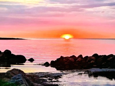 Holiday house 4 Sterne Ferienhaus in Gørlev-By Traum - Outdoor photo 17