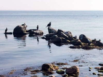 Holiday house 4 Sterne Ferienhaus in Gørlev-By Traum - Outdoor photo 18