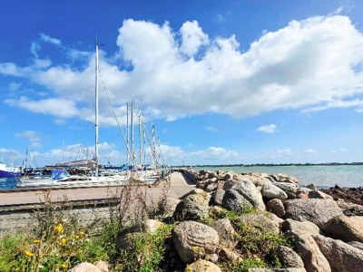 Holiday house 4 Sterne Ferienhaus in Gørlev-By Traum - Outdoor photo 19