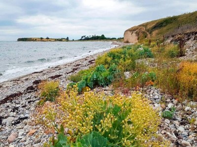 Holiday house 4 Sterne Ferienhaus in Gørlev-By Traum - Outdoor photo 26