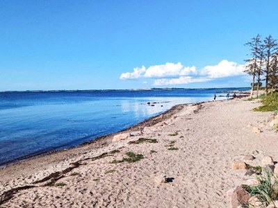 Holiday house 4 Sterne Ferienhaus in Gørlev-By Traum - Outdoor photo 34