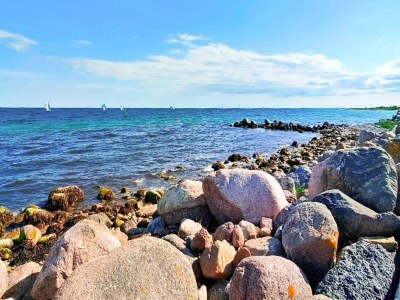 Holiday house 4 Sterne Ferienhaus in Gørlev-By Traum - Outdoor photo 37