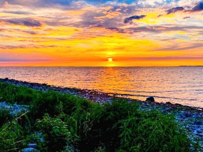 Holiday house 4 Sterne Ferienhaus in Gørlev-By Traum - Outdoor photo 42