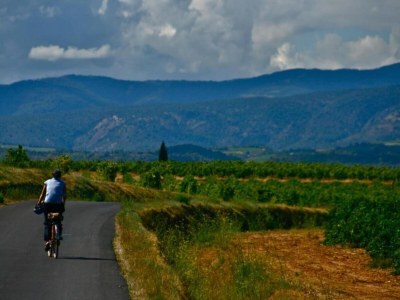 Holiday park Romantischer Kurzurlaub im Weinberg - Environment photo 18