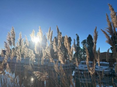 Holiday park Romantischer Kurzurlaub im Weinberg - Environment photo 23