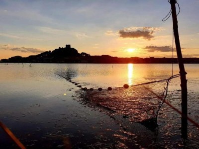 Holiday park Romantischer Kurzurlaub im Weinberg - Environment photo 28