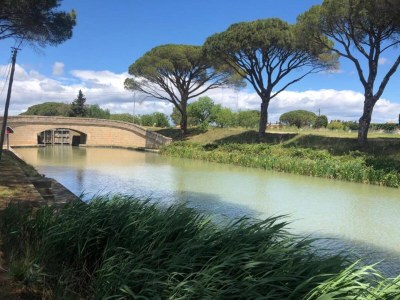 Holiday park Romantischer Kurzurlaub im Weinberg - Environment photo 32