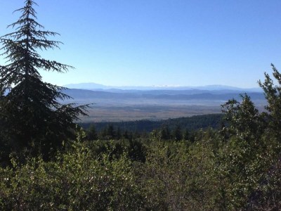 Holiday park Romantischer Kurzurlaub im Weinberg - Environment photo 33