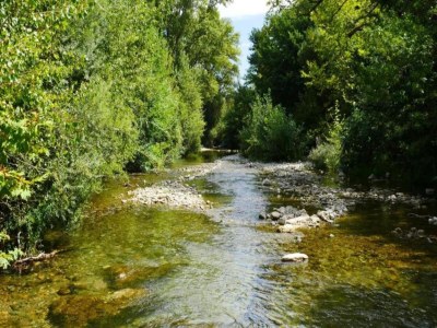 Holiday park Family-Friendly Apartment - Environment photo 15