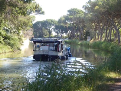 Holiday park Family-Friendly Apartment - Environment photo 21