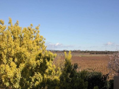 Holiday park Family-Friendly Apartment - Environment photo 28