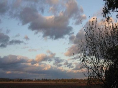 Holiday park Family-Friendly Apartment - Environment photo 29