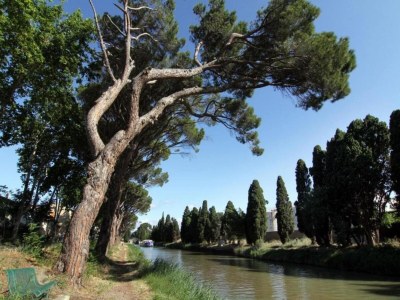 Holiday park Family-Friendly Apartment - Environment photo 33