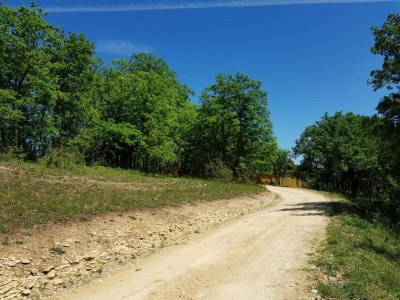 Holiday park Holiday Home in Montignac near Lascaux II - Environment photo 34
