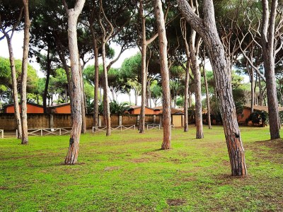 Apartment Appartamento Germoglio sulla Spiaggia - Environment photo 27