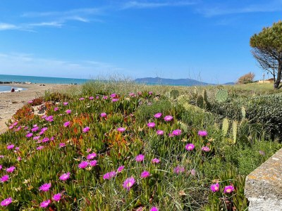 Apartment Appartamento La Ginestra sulla Spiaggia - Outdoor photo 9
