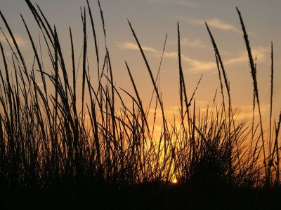 Apartment Appartamento Timone vicino al mare - Outdoor photo 40