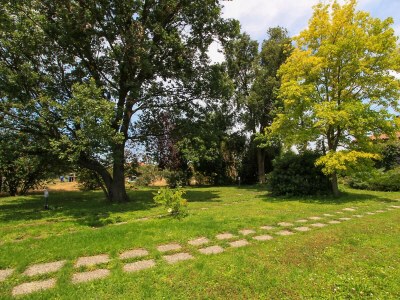 Chalet Casa Allegra nel Parco della Maremma - Environment photo 37