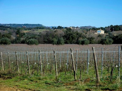 Villa Villa Bibbona con piscina - Outdoor photo 6