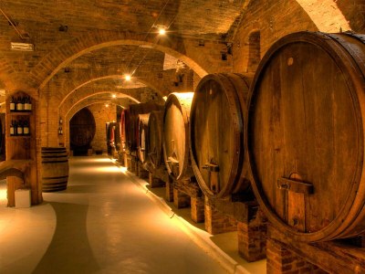 Villa Villa Bibbona con piscina - Outdoor photo 11